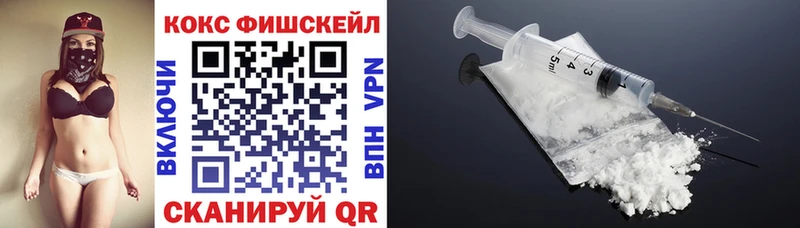 COCAIN Fish Scale  Купить где  Талица 