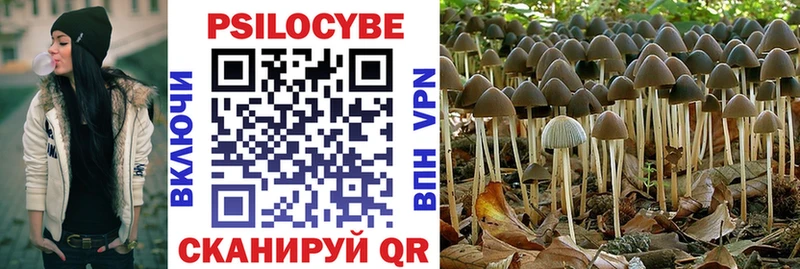 Купить  Талица  Псилоцибиновые грибы ЛСД 