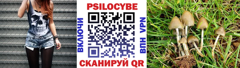Галлюциногенные грибы MAGIC MUSHROOMS Талица